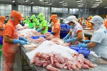 Dans une usine de transformation des produits aquatiques. Photo : VNA