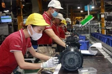 Sur les 8 premiers mois, un certain nombre d’industries de transformation et de fabrication deHanoi ont connu une augmentation de l’IPI par rapport à la même période en 2022. Photo : hanoimoi.com.vn