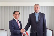 Le ministre des Affaires étrangères (AE) Bui Thanh Son (gauche) et son homologue iranien Hossein Amir Abdollahian. Photo: VNA
