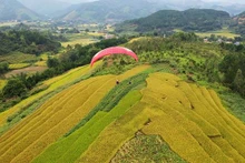 Le Festival de parapente « Survoler les champs dorés de Binh Liêu 2022 » attire plus de 150 pilotes de parapente à travers le pays. Photo : VOV.