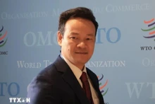 L'ambassadeur Mai Phan Dung, chef de la Mission permanente du Vietnam auprès de l'ONU, de l’OMC et d’autres organisations internationales à Genève. Photo: VNA
