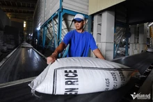 Au cours des 7 premiers mois de 2024, le Vietnam a exporté près de 5,3 millions de tonnes de riz, pour une valeur estimée à 3,34 milliards de dollars. Photo : vietnamnet.vn