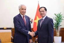 Le ministre vietnamien des Affaires étrangères, Bui Thanh Son (droite) et le ministre d'Etat aux Affaires étrangères de l'Etat du Qatar. Photo : VNA.