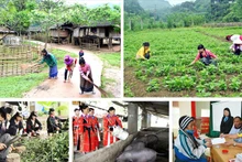 Le Vietnam a donné la priorité à l'allocation d'environ 23 000 milliards de dôngs du budget pour mettre en œuvre efficacement les politiques générales de soutien à la réduction de la pauvreté. Photo : thoidai.com.vn