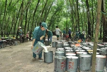En 2 mois, le Vietnam a exporté plus de 206 000 tonnes pour 277,45 millions de dollars vers la Chine. Photo : VNA.