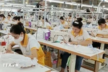 Des ouvriers travaillant dans une chaîne de confection de vêtements pour l'exportation. Photo: VNA
