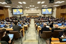 Vue de la 34e réunion du États parties à la CNUDM (SPLOS-34), tenue du 10 au 14 juin à New York. Photo : VNA.