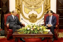 Le ministre des Affaires étrangères, Bùi Thanh Son (à droite) et Akiba Takeo, secrétaire général du Secrétariat à la sécurité nationale du Japon. Photo : baoquocte.vn