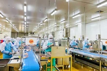 À l'intérieur d'un usine de transformation viande de poulet de CPV Food. Photo : VNA.