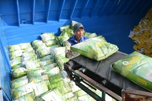 Grâce aux tarifs préférentiels, l'exportation de riz parfumé et de riz de haute qualité vers le marché de l’UE a des résultats positifs. Photo : NDEL.