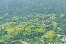 Le riz de Lùng Tao est le plus beau de la fin septembre au milieu d'octobre, lorsque les grains de riz sont murs et jaunissent progressivement. Photo : congluan.vn
