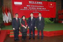 Le Président de l’Assemblée nationale du Vietnam, Vuong Dinh Huê (2e, à partir de la gauche) et la présidente du Parti démocratique indonésien de lutte (PDI-P), Megawati Sukarnoputri, à Jakarta, le 4 août. Photo : VNA.