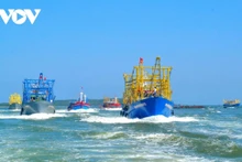 Le district de Nui Thanh compte actuellement 1 929 bateaux et plus de 9 000 travailleurs.