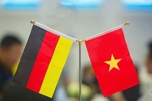 Les drapeaux d'Allemagne et du Vietnam. Photo : VNA.