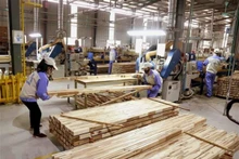 Au cours des deux premiers mois de l’année, le chiffre d’affaires des exportations de bois et de produits du bois vers le marché canadien s’élevait à environ 21,6 millions de dollars. Photo : VOV.