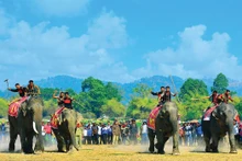 Le Tây Nguyên a un potentiel très unique, diversifié et riche pour les ressources écotouristiques. Photo : NDEL