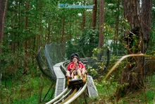 Située sur le col Prenn à Da Lat, la cascade Datanla est célèbre pour ses nombreux jeux passionnants dans la forêt de pins. Photo : VOV.