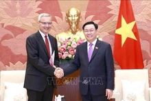 Le Président de l’Assemblée nationale du Vietnam, Vuong Dinh Huê (à droite), serre la main de l’ambassadeur de France au Vietnam Nicolas Warnery, à Hanoi, le 16 novembre. Photo : VNA.
