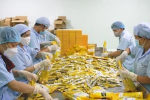 Avec les résultats positifs de la mise en œuvre des ALE, le Vietnam négocie encore activement de nombreux nouveaux accords. Photo : thanhnien:vn