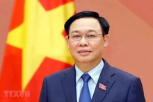 Le Président de l’Assemblée nationale du Vietnam, Vuong Dinh Huê. Photo : VNA.