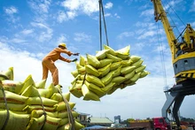 La suspension des exportations indiennes obligera les importateurs de riz britanniques à se tourner vers l’achat de riz vietnamien et thaïlandais. Photo : congthuong.vn