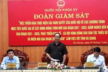 Le vice-président de l'Assemblée nationale, Trân Quang Phuong, prend la parole lors de la réunion. Photo : VNA