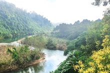 La Réserve naturelle de Dông Châu-Khe Nuoc Trong. Photo : baoquangbinh.vn