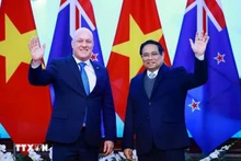 Le Premier ministre Christopher Luxon (gauche) et son homologue vietnamien Pham Minh Chinh. Photo : VNA.