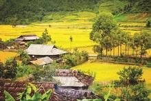 Photo d'illustration : tapchixaydung.vn