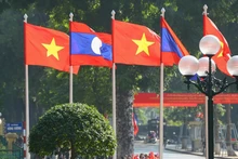Les relations politiques entre le Vietnam et le Laos continuent d'être étroites, stables et multiformes. Photo : VNA.