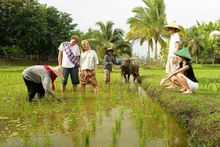 Le développement du tourisme agricole offre aux agriculteurs la possibilité de passer de l’agriculture traditionnelle à une approche plus intégrée qui combine l’agriculture avec les loisirs et les activités expérientielles. Photo : https://vneconomy.vn/
