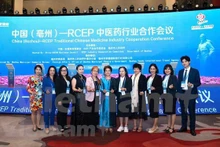 Les délégués à conférence 2023 sur la médecine traditionnelle ASEAN – Chine. Photo : VNA