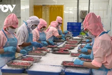 Le Japon a dépassé les États-Unis pour devenir le premier importateur de produits aquatiques vietnamiens au cours du 2e trimestre de l’année, en ayant atteint 713 millions de dollars. Photo : VOV.vn