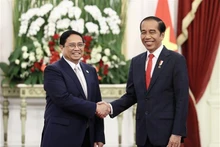 Le Premier ministre vietnamien, Pham Minh Chinh (à gauche) et le Président indonésien, Joko Widodo. Photo : VNA.