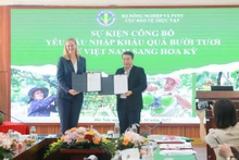 Le Département américain de l'Agriculture a annoncé le 4 octobre l'autorisation d'importer des pamplemousses vietnamiens. Photo : tuoutre.vn.