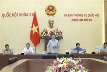 Le Président de l’AN Vuong Dinh Huê (debout) prend la parole. Photo : VNA.