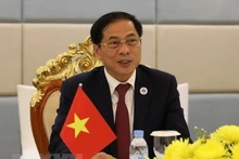 Le ministre vietnamien des Affaires étrangères Bui Thanh Son. Photo : VNA