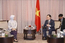 Le Président de l'Assemblée nationale, Vuong Dinh Huê, (à droite) et la présidente de la Commission d'audit d'Indonésie (BPK), Isma Yatun. Photo : VNA.