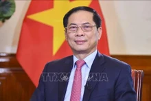 Le ministre vietnamien des Affaires étrangères Bui Thanh Son. Photo : VNA.