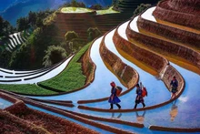 Yên Bai a accueilli plus de 525.000 visiteurs depuis début 2023. Photo : VNA.