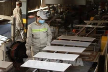 Chaîne de production de la société par actions Prime Dai Viêt. Photo : VNA.