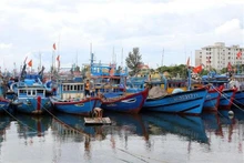 Des bateaux en refuge. Photo: VNA