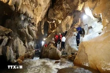 Une délégation d'experts de l'UNESCO a effectué du 6 au 9 juillet une visite sur le terrain. Photo : VNA.