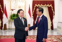 Le Président de l’Assemblée nationale du Vietnam, Vuong Dinh Huê (à gauche) et le Président indonésien Joko Widodo se serrent la main, à Jakarta, le 7 août. Photo : VNA.