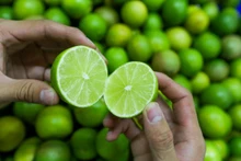 Le citron vert. Photo : congthuong.com