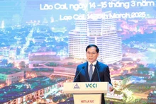 Le vice-Premier ministre et ministre des Affaires étrangères Bùi Thanh Son. Photo : VOV.