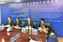 Cours de formation sur l’industrie du thé entre les provinces du Nord du Vietnam et la province chinoise de Yunnan. Photo : NDEL