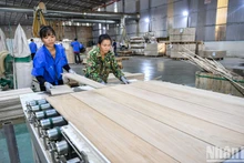 L’EVFTA a considérablement stimulé les exportations du Vietnam vers l’Europe, en les faisant passer de 35 milliards d’euros en 2019 à plus de 48 milliards d’euros en 2023. Photo : NDEL.