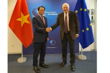 Le haut représentant de l’UE pour les Affaires étrangères et la Politique de sécurité et vice-président de la CE, Josep Borrell (à droite) et le ministre vietnamien des Affaires étrangères Bùi Thanh Son, le 13 décembre. Photo : VNA.
