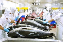 Les exportations de thon en conserve du Vietnam entre janvier et mars ont bondi de 53% sur un an. Photo : VNA.